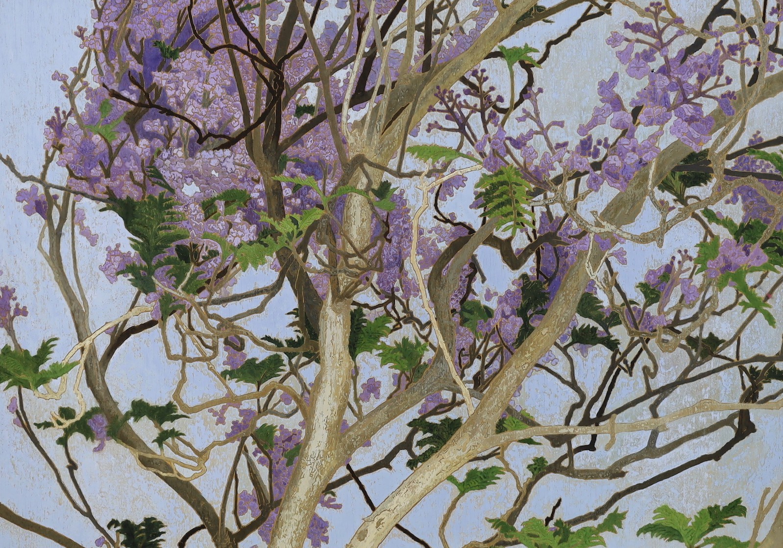 Cressida Campbell (Australian, 1960-), Jacaranda in full blossom, watercolour on incised marine ply